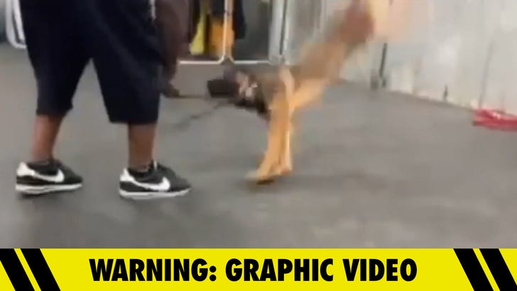 Disturbing Video