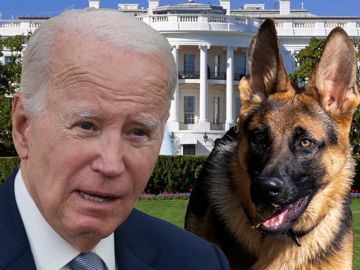 PRESIDENT BIDEN